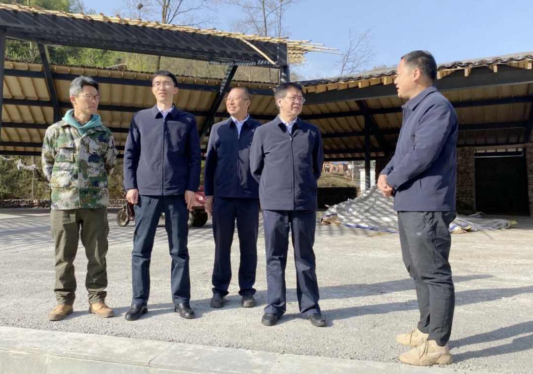 环亚币游国际(中国区)股份有限公