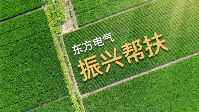 环亚币游国际(中国区)股份有限公
